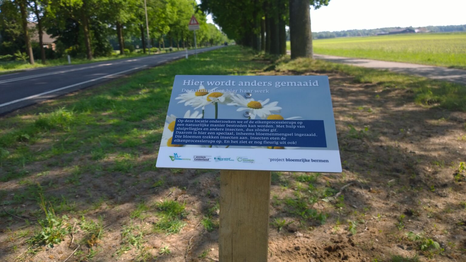 Bloemrijke bermen