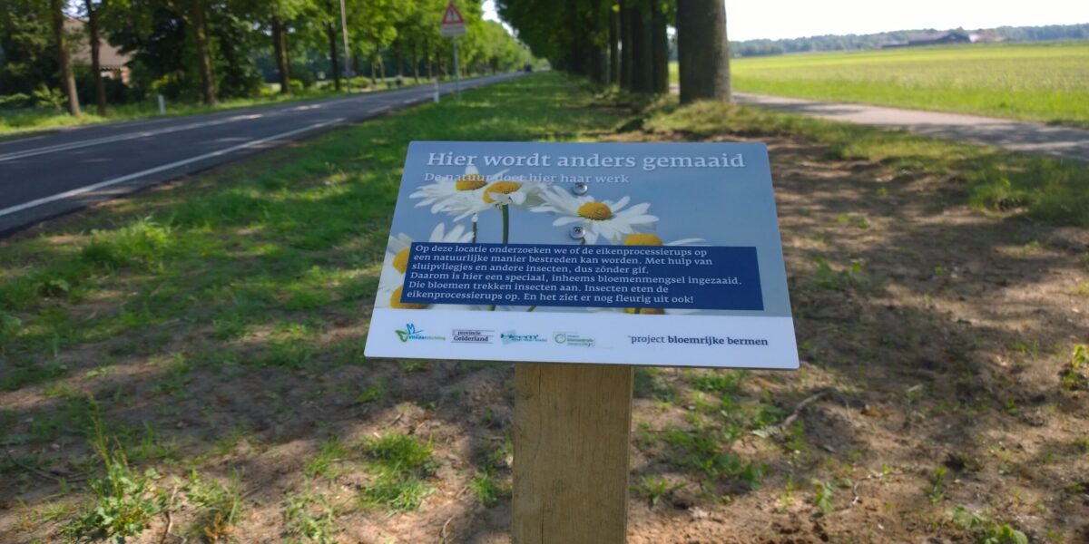 Bloemrijke bermen
